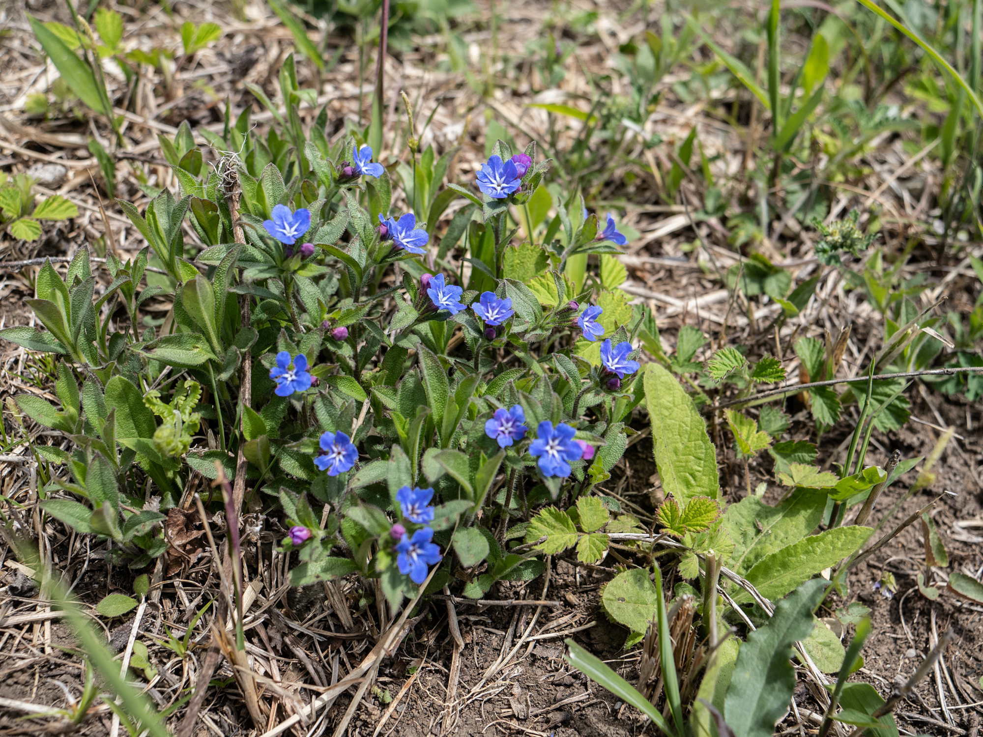 e0015567_20151093.jpg