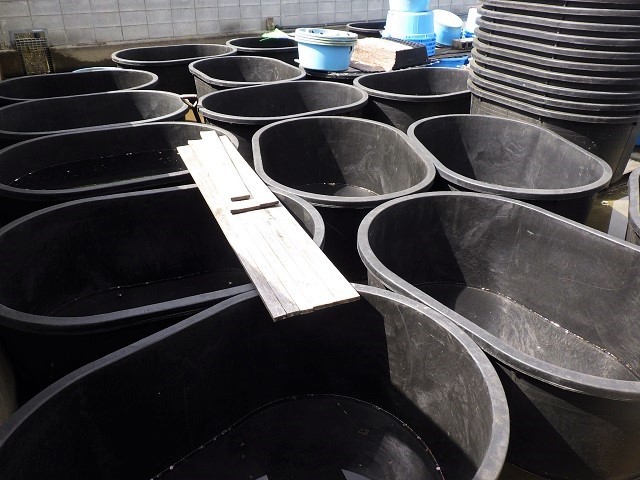 c0105569_00423833.jpg