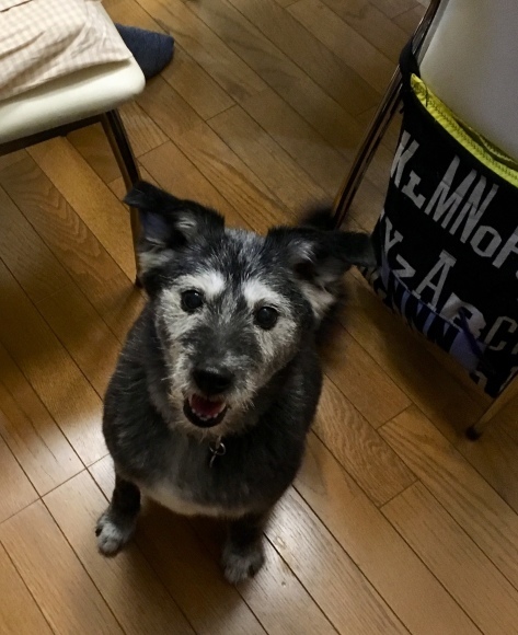f0389169_06585611.jpeg