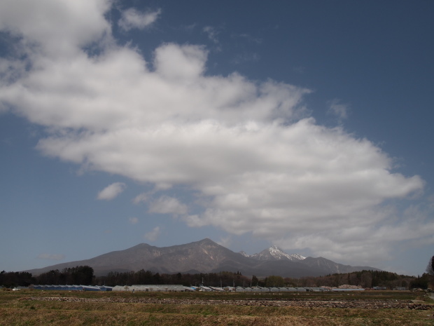 高原は、まだまだ 桜が綺麗です_d0360272_20394251.jpg