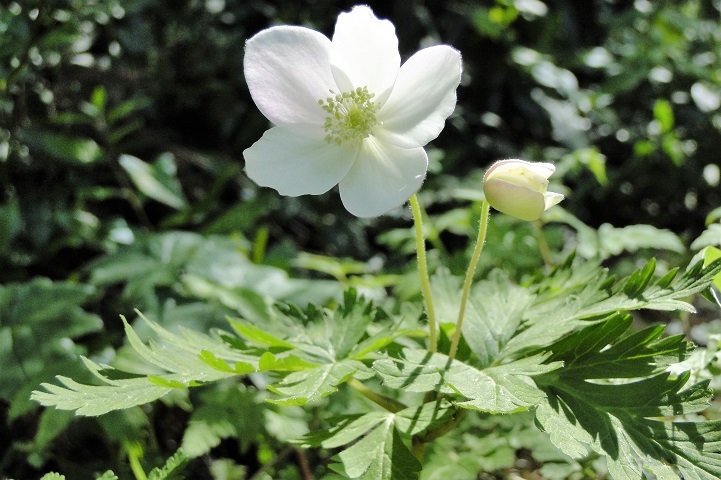 c0248473_20120725.jpg