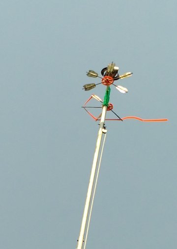 空飛ぶ矢車 と 謎の花苗 Shara Rin Stick