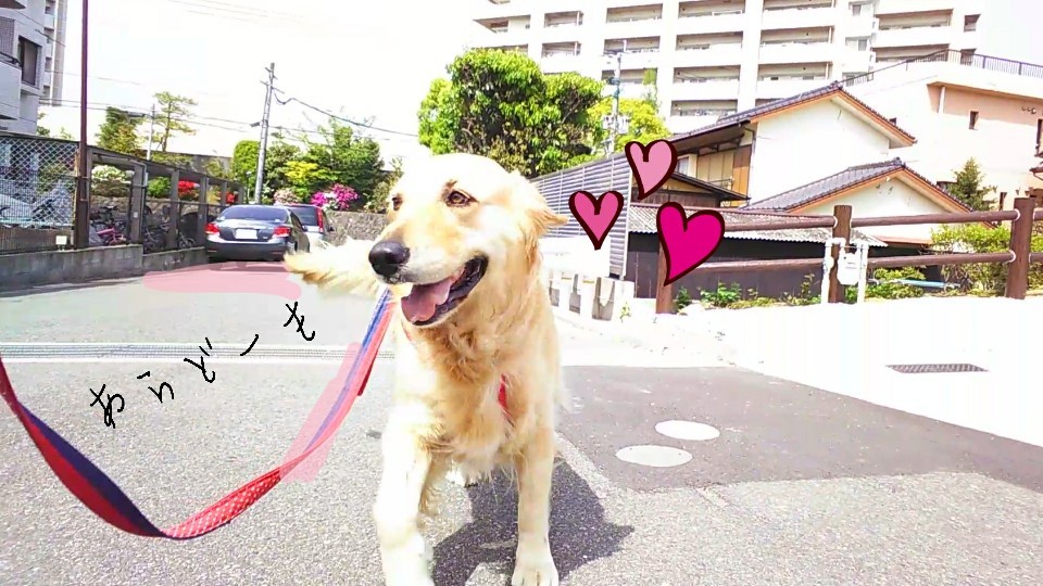 今日のお天気はー?🌞☔️_f0357682_12001207.jpg