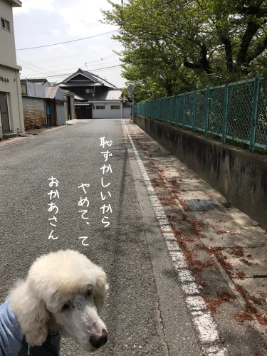 a0216583_23460097.png