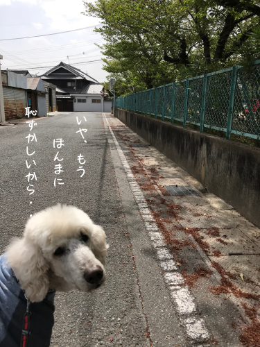 a0216583_23460802.png