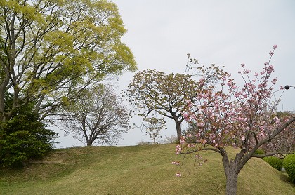 c0229483_0222563.jpg