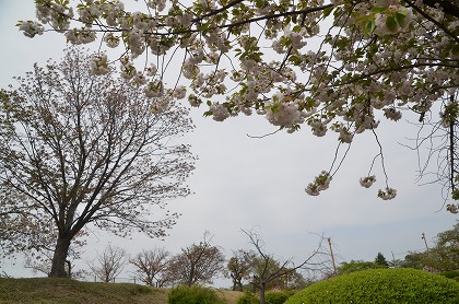 c0229483_022734.jpg