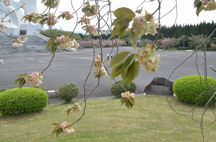 c0229483_0235519.jpg
