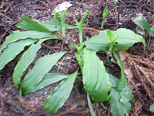 e0086885_16175121.jpg