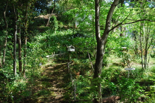 a0138589_22231198.jpg