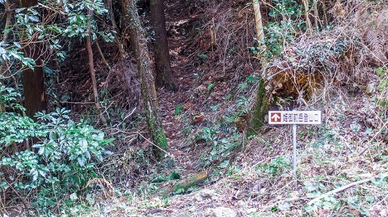 e0176993_07163061.jpg