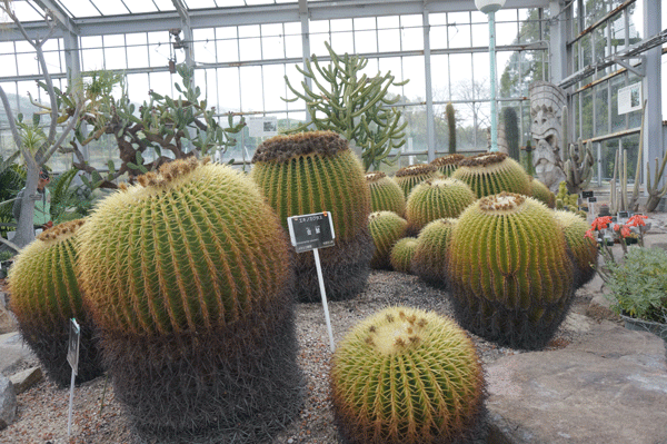 b0290297_13015579.gif