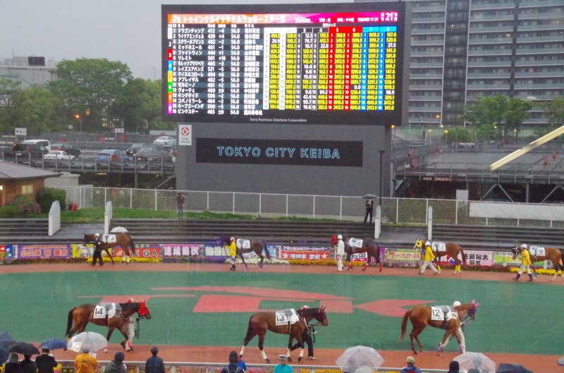 キングタイド 25戦目@大井競馬場 7R 2018.4.17_f0368205_18424442.jpg