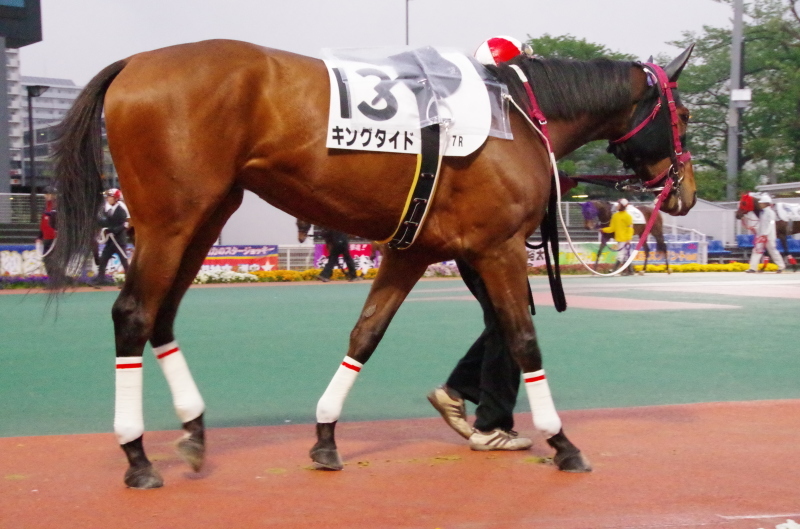 キングタイド 25戦目@大井競馬場 7R 2018.4.17_f0368205_18430406.jpg