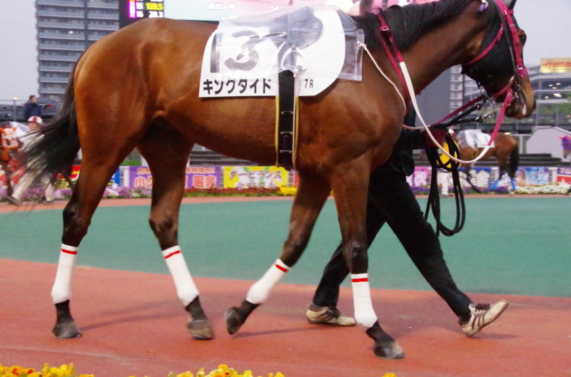 キングタイド 25戦目@大井競馬場 7R 2018.4.17_f0368205_18433749.jpg