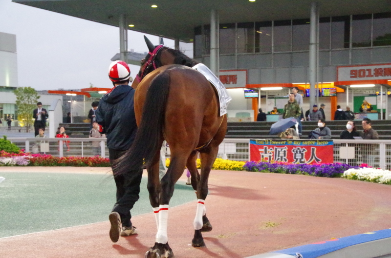 キングタイド 25戦目@大井競馬場 7R 2018.4.17_f0368205_18453757.jpg