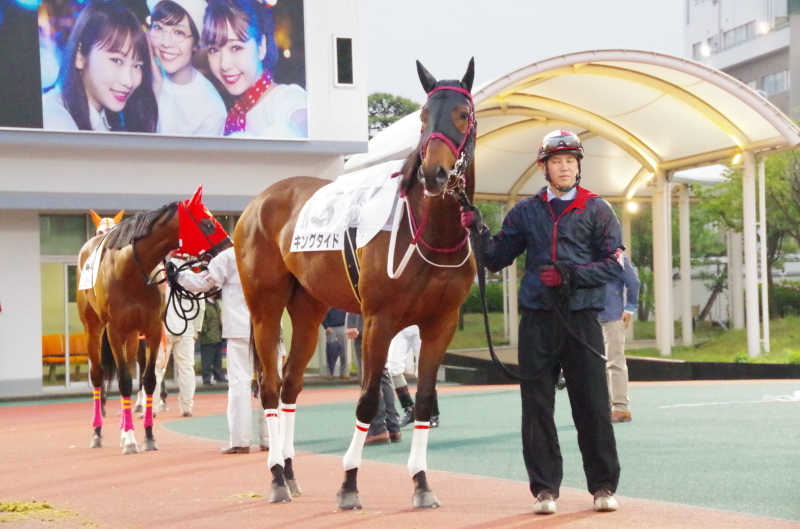 キングタイド 25戦目@大井競馬場 7R 2018.4.17_f0368205_18455084.jpg