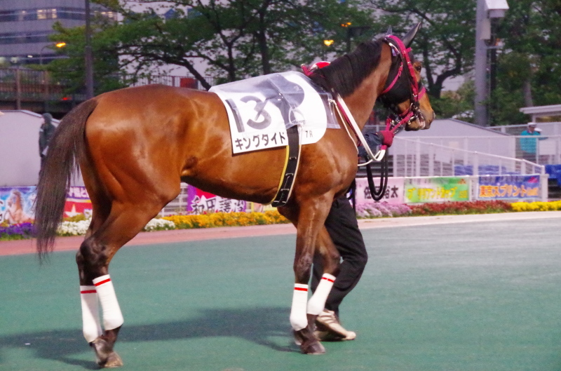 キングタイド 25戦目@大井競馬場 7R 2018.4.17_f0368205_18455804.jpg