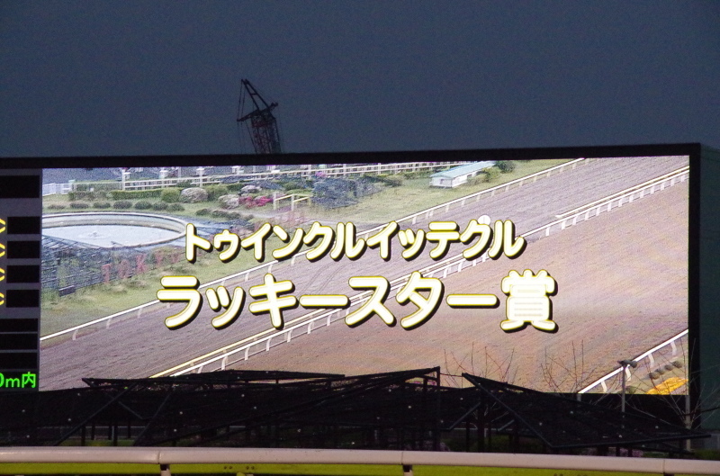 キングタイド 25戦目@大井競馬場 7R 2018.4.17_f0368205_18461430.jpg