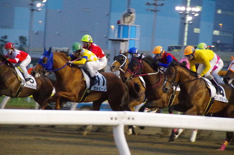 キングタイド 25戦目@大井競馬場 7R 2018.4.17_f0368205_18462664.jpg