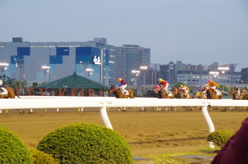 キングタイド 25戦目@大井競馬場 7R 2018.4.17_f0368205_18503745.jpg