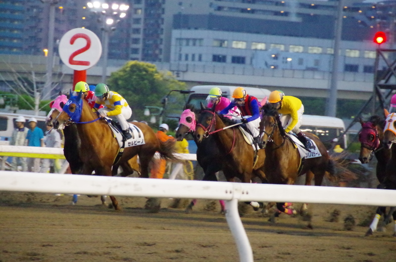 キングタイド 25戦目@大井競馬場 7R 2018.4.17_f0368205_18515984.jpg