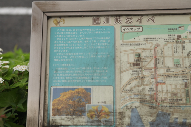 a0251508_019286.jpg
