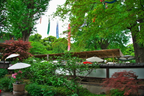 a0263109_20042954.jpg