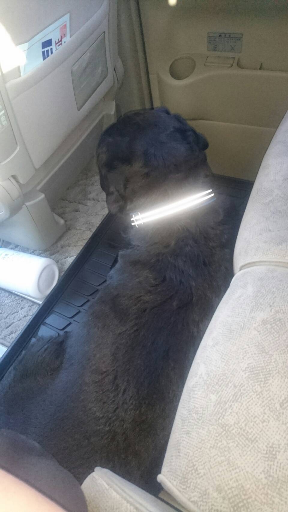e0132109_11574304.jpeg