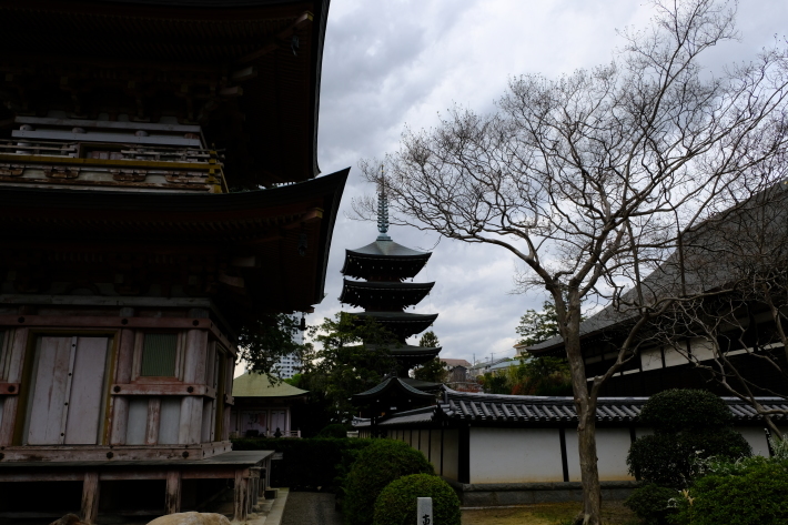 甲府の旅_e0000910_10121545.jpg