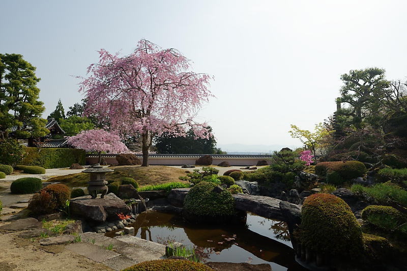 f0032011_19263976.jpg