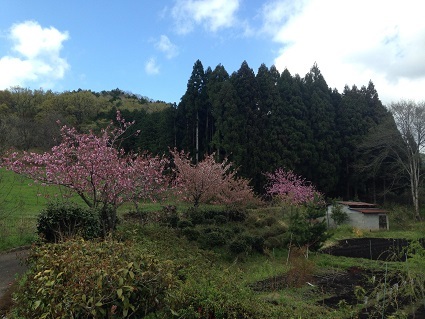 c0046316_21112043.jpg