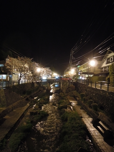 島根県への旅　その１_e0166016_17325105.jpg