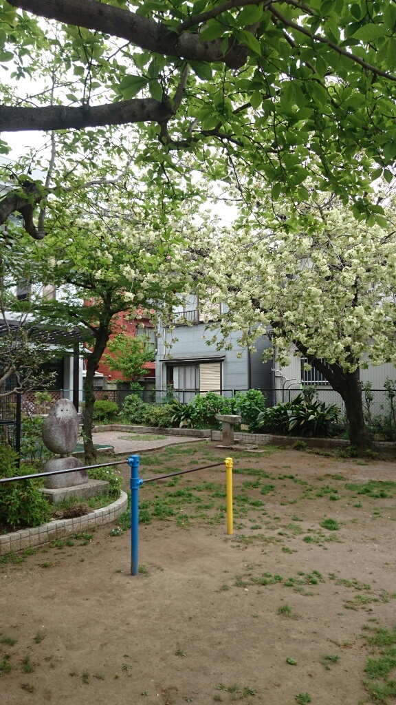 b0339522_08232371.jpg