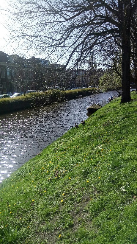 b0305124_20205224.jpg