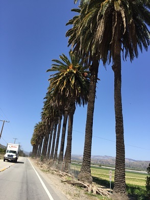 b0368324_06185022.jpeg