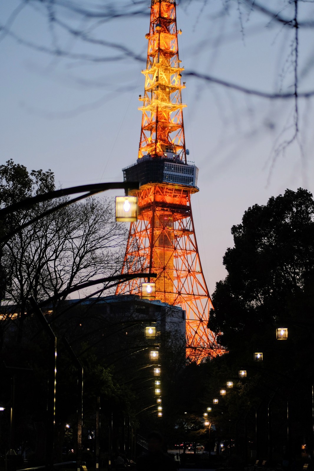 東京タワー オレンジとピンクと暗闇のコラボ Utamaru S Blog 東京タワー オレンジとピンクと暗闇のコラボ Utamaru S Blog
