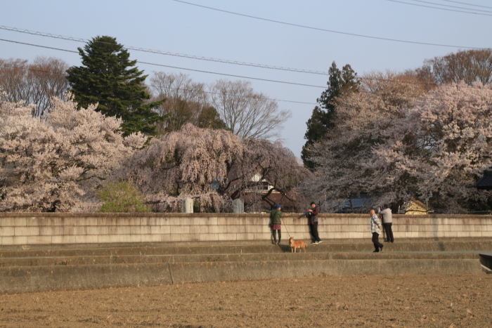 f0229832_08301203.jpg