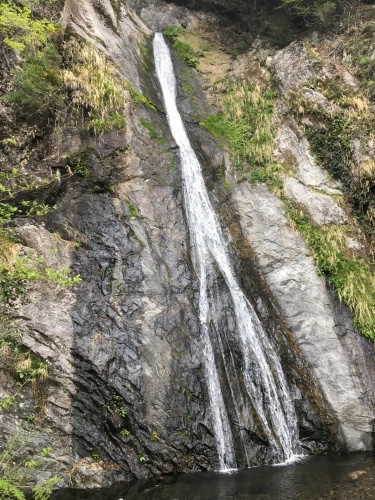 b0330040_19071699.jpeg