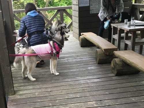 b0330040_21221067.jpeg