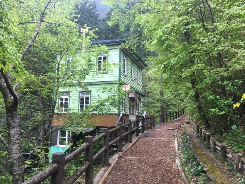 b0330040_21254426.jpeg