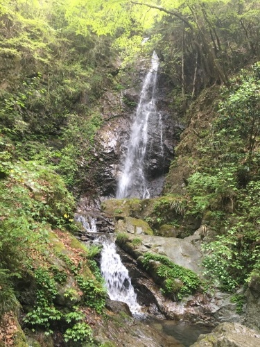 b0330040_21275702.jpeg