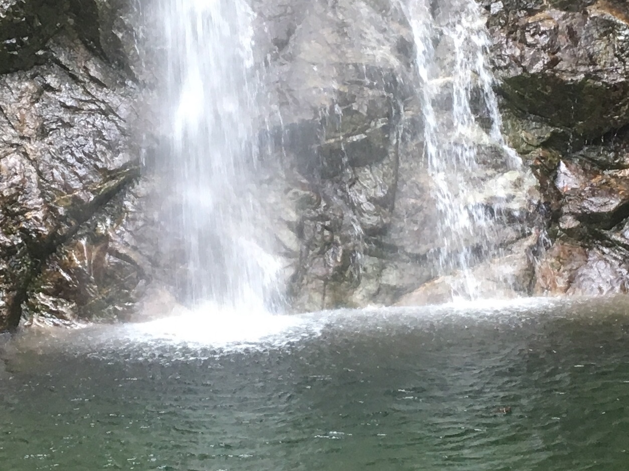 b0330040_21324008.jpeg