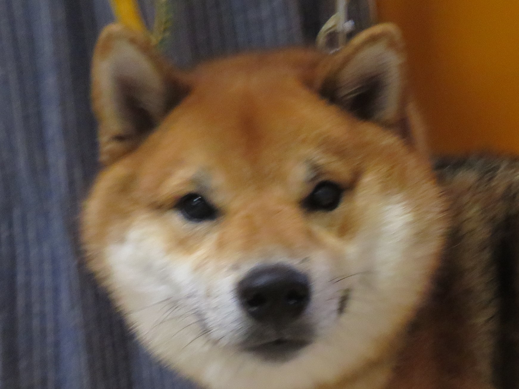 c0174644_20121014.jpg