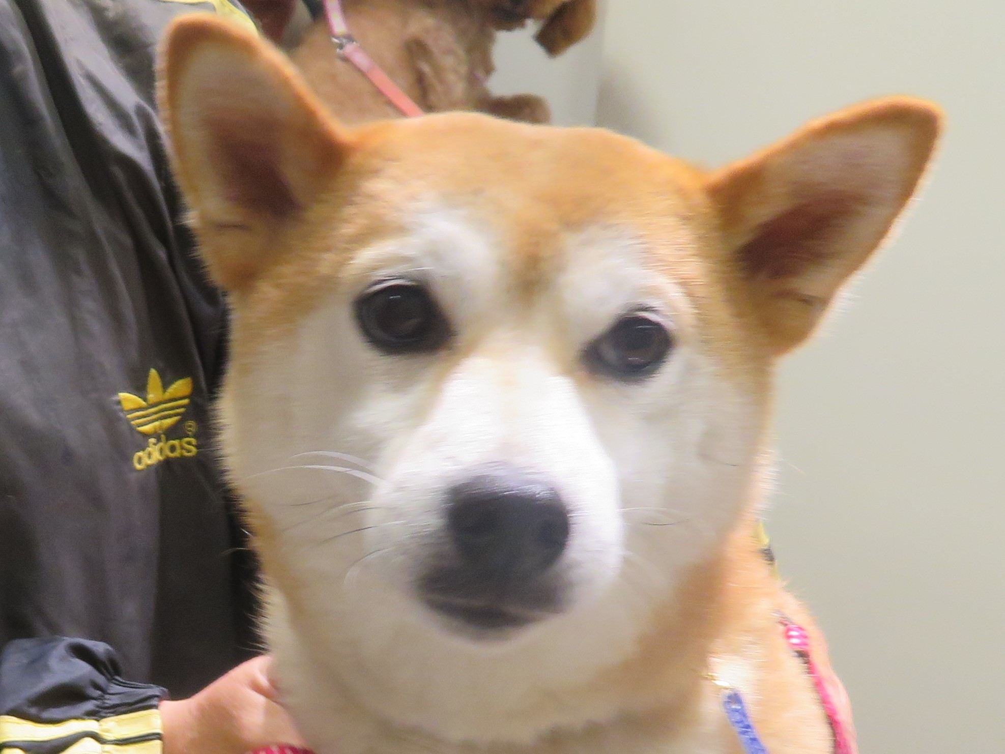 c0174644_20121265.jpg