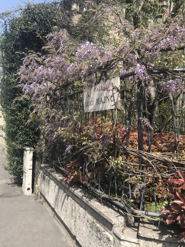 f0181251_05153900.jpeg