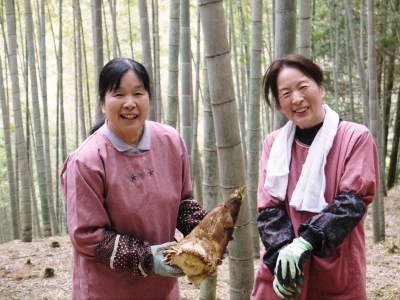 幻の白い「長生たけのこ」 平成30年度も残りわずか!お急ぎください!&収穫の様子の番外編_a0254656_19204833.jpg