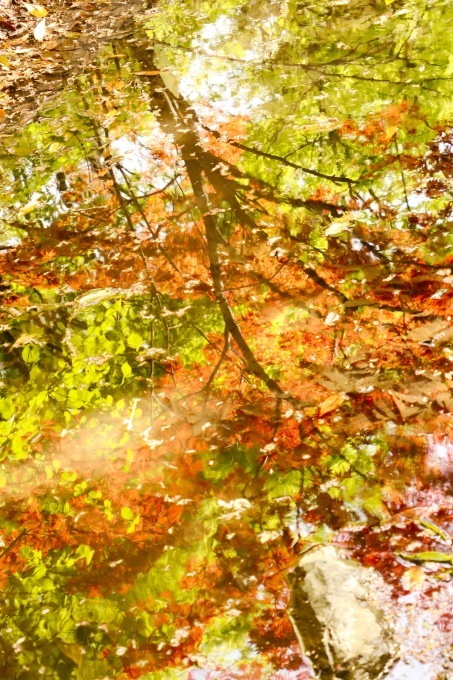 a0248459_13570901.jpg