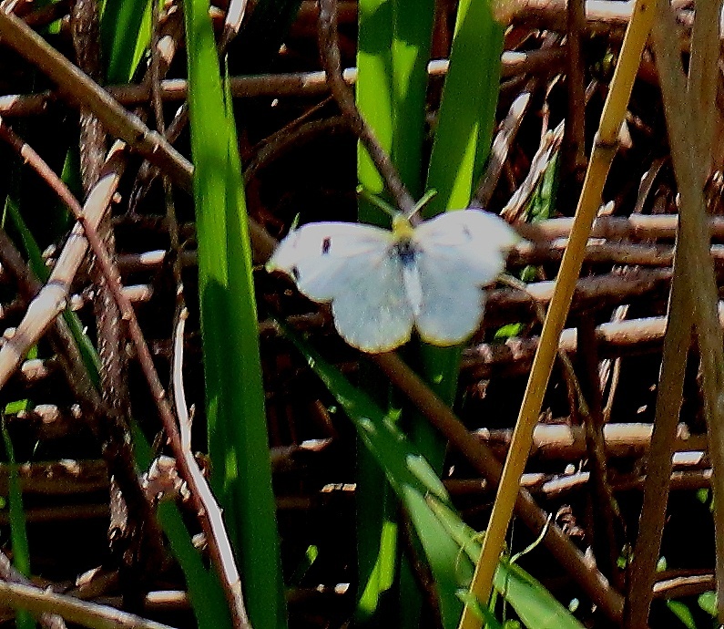 b0320769_14440620.jpg