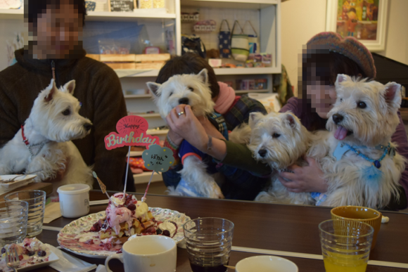 b0242873_00424675.png
